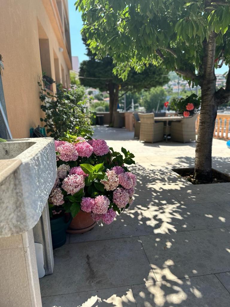Apartmani Suzana Klenovica Exterior foto